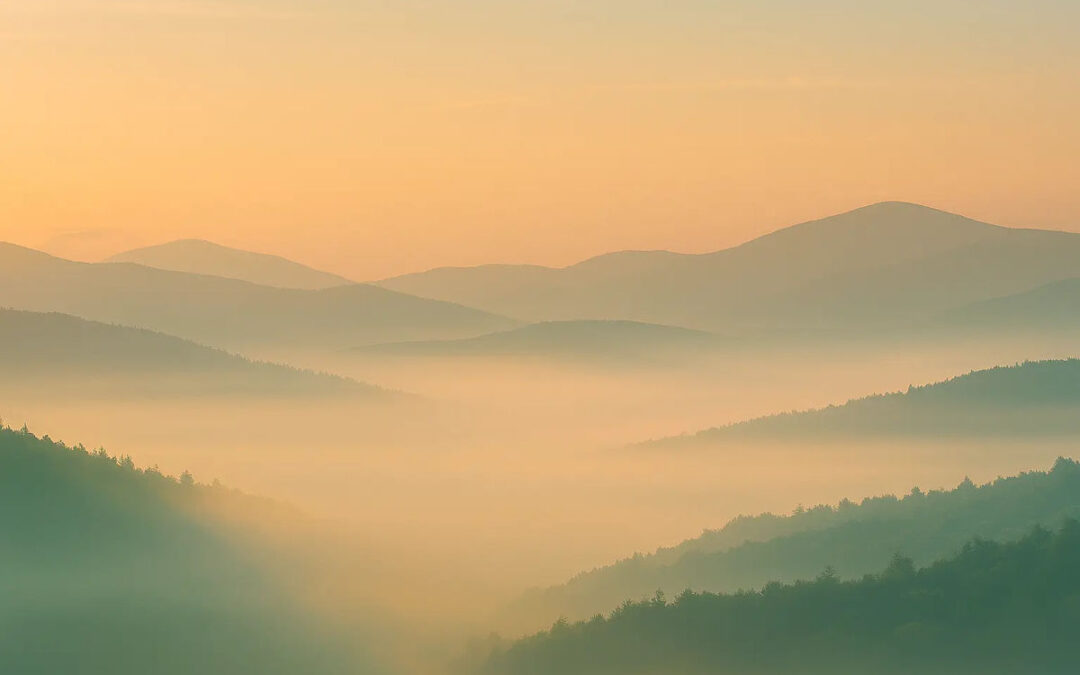 Réduire la surface d’attaque : enfin une explication simple