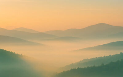 Réduire la surface d’attaque : enfin une explication simple